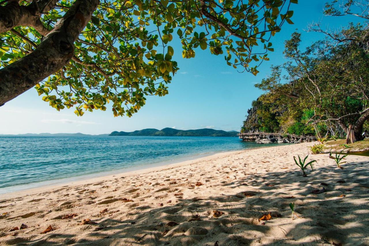 Sangat Island Dive Resort Coron Exteriér fotografie